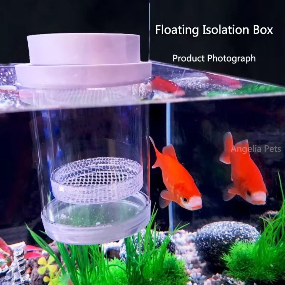 플라스틱 부동 물고기 사육 격리 상자 수족관 브리더 피 - Lab Incubator 리뷰 및 가격