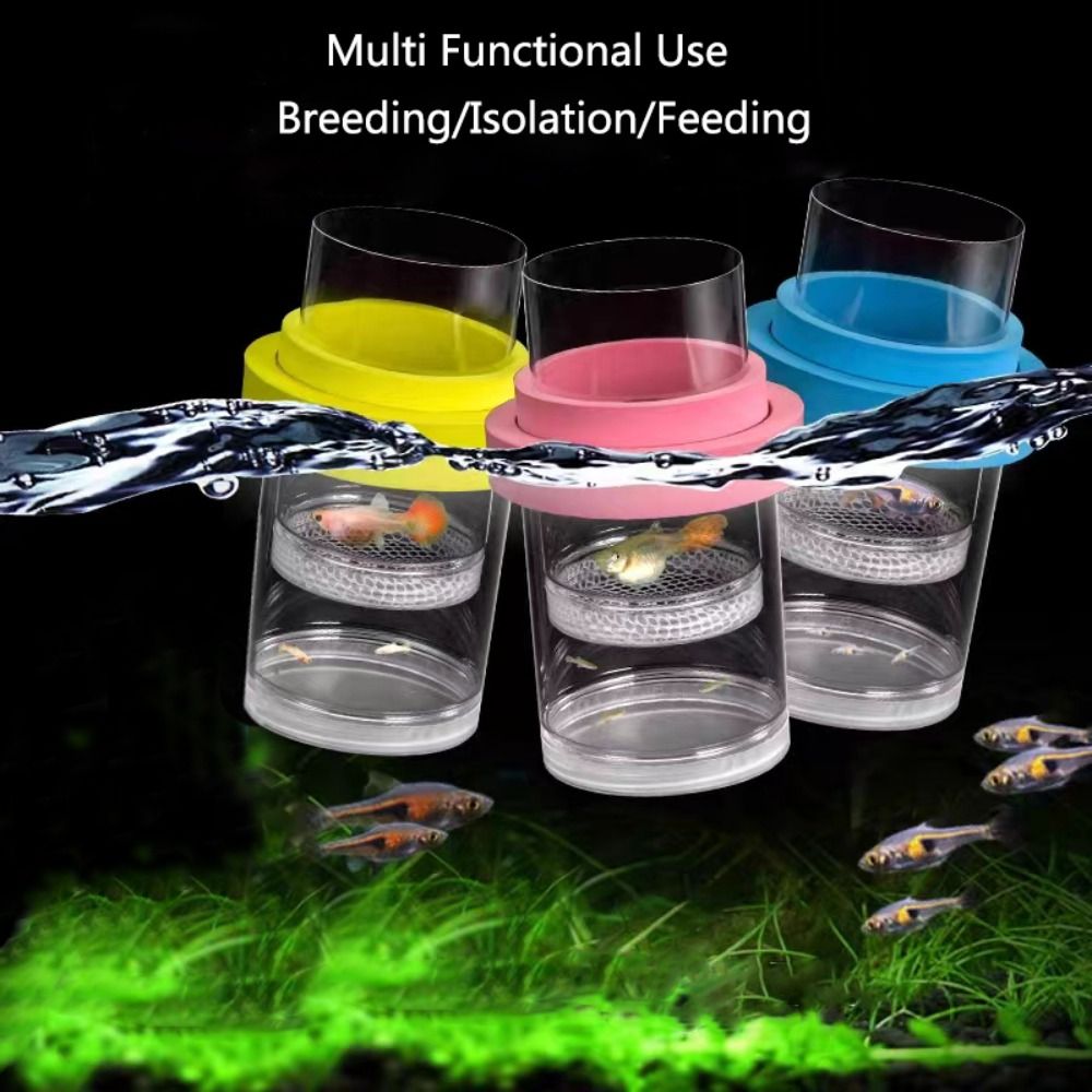 플라스틱 부동 물고기 사육 격리 상자 수족관 브리더 피 - Lab Incubator 리뷰 및 가격